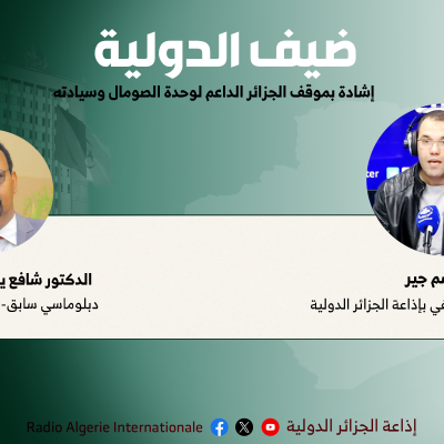 دبلوماسي سابق-الصومال