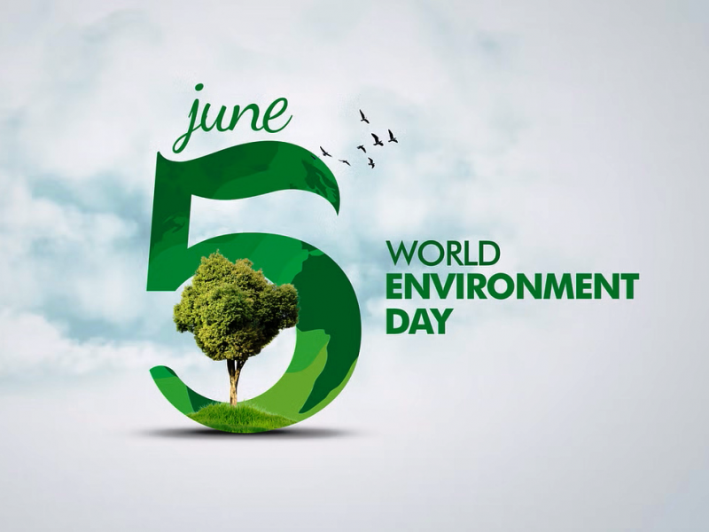 World Environment day