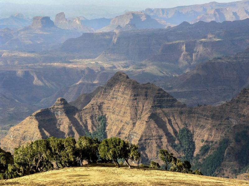 parc simien