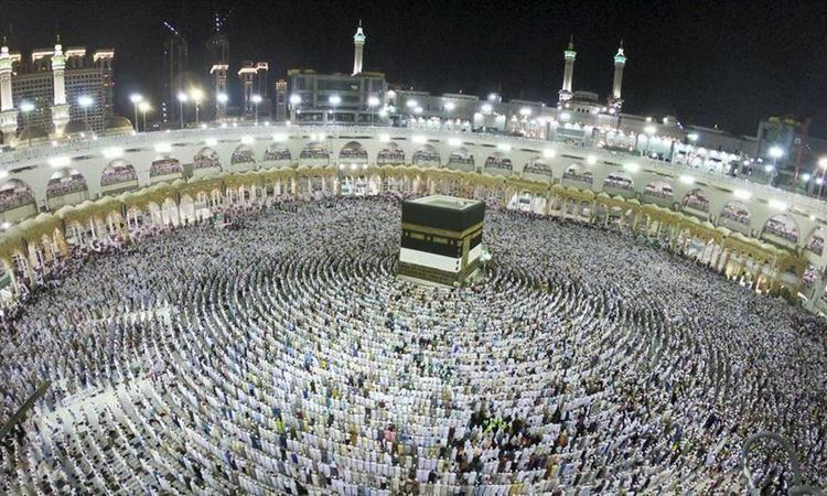 تقرير
