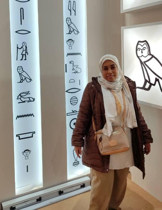 الكاتبة صفاء العجماوي الكاتبة صفاء العجماوي