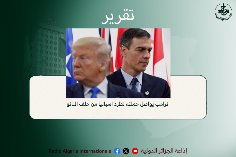 تقرير