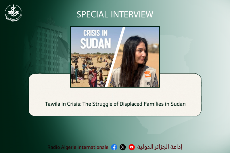 Tawila in Crisis: The Struggle of Displaced Families in Sudan