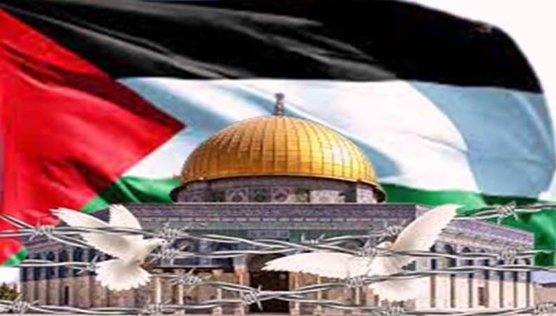 فلسطين الصمود