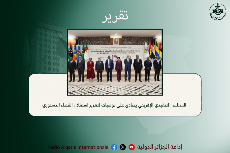 المجلس التنفيذي الإفريقي يصادق على توصيات لتعزيز استقلال القضاء الدستوري