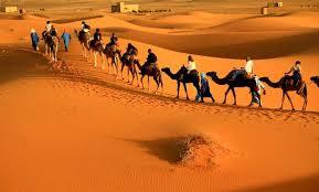 الصحراء الجزائرية