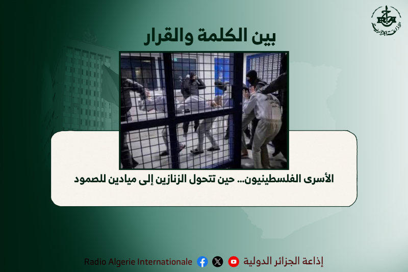 بين الكلمة والقرار